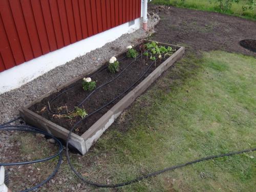 Bevattning och köksrabatt