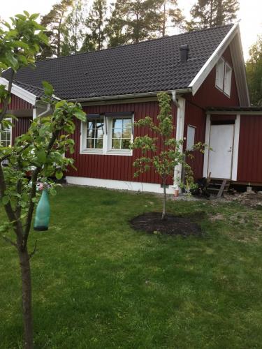 Trädgård